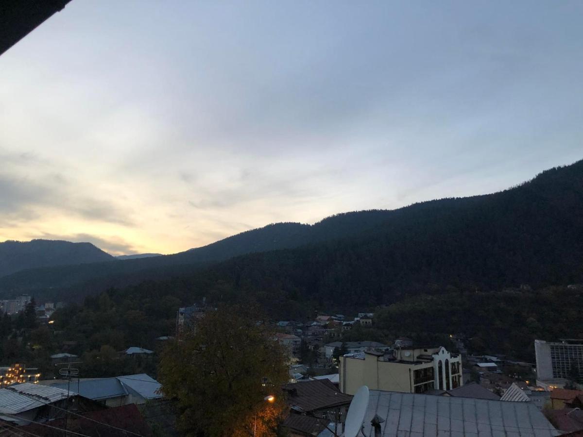 Lukassalomea Διαμέρισμα Borjomi Εξωτερικό φωτογραφία
