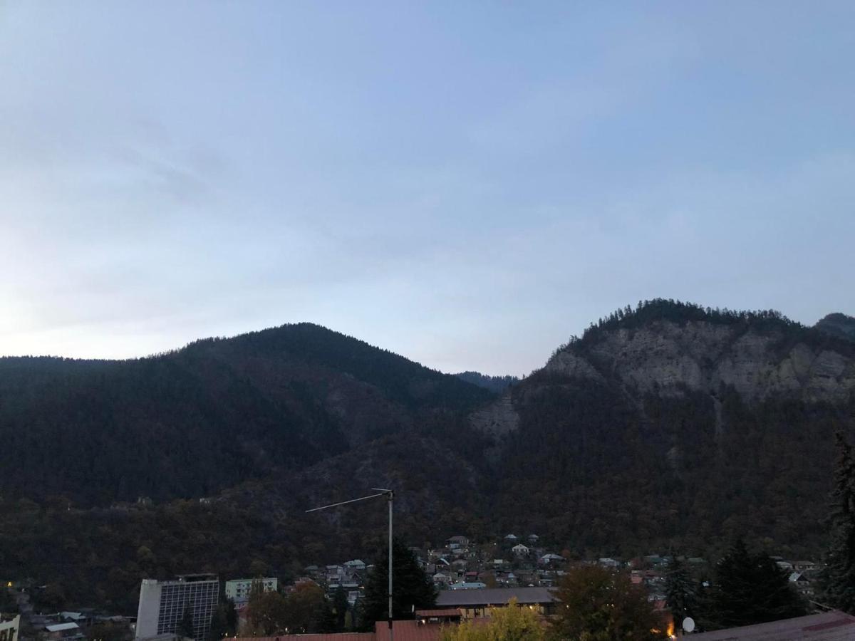 Lukassalomea Διαμέρισμα Borjomi Εξωτερικό φωτογραφία