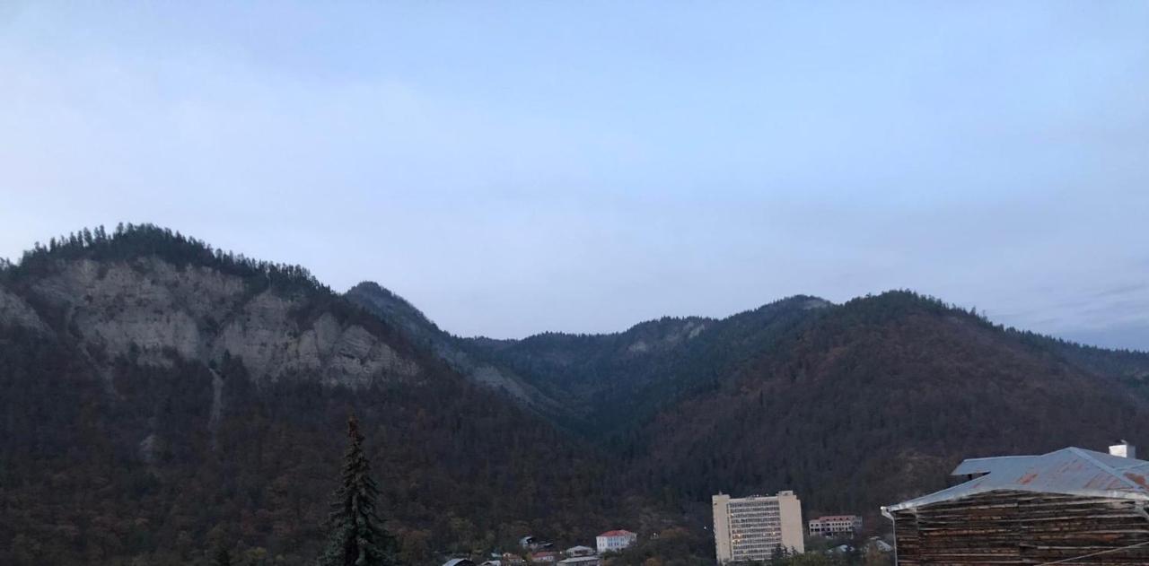 Lukassalomea Διαμέρισμα Borjomi Εξωτερικό φωτογραφία